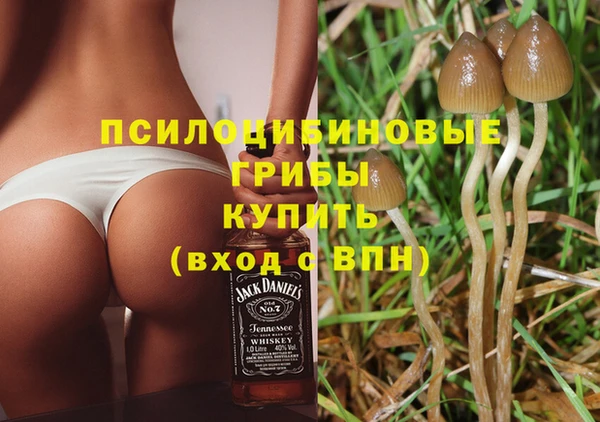 мяу мяу кристалл Новодвинск