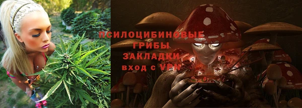 соль ск Новокубанск