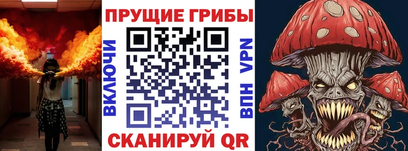 ОМГ ОМГ tor  Усть-Кут  Галлюциногенные грибы Psilocybine cubensis 