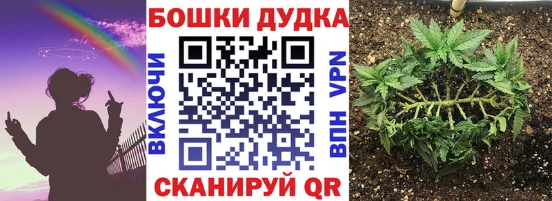 omg вход  Усть-Кут  Марихуана сатива  где купить  